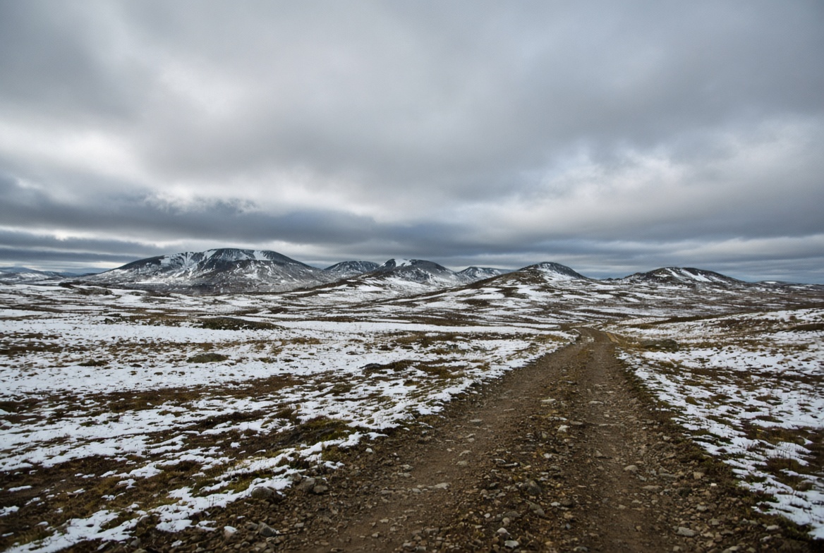 Fjäll